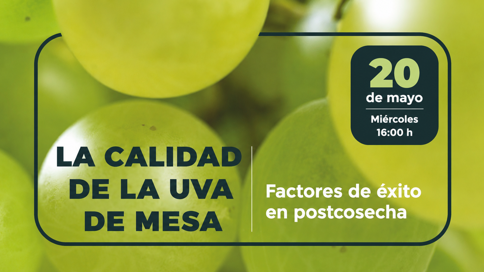 La calidad de la uva de mesa.png